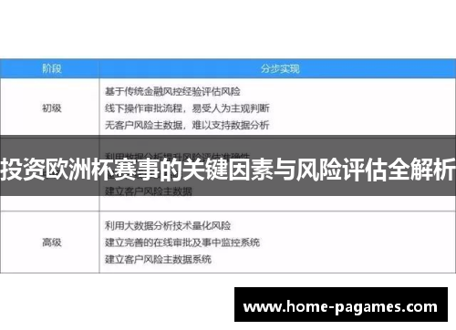 投资欧洲杯赛事的关键因素与风险评估全解析