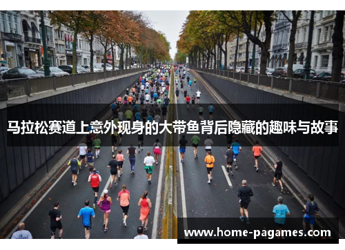 马拉松赛道上意外现身的大带鱼背后隐藏的趣味与故事