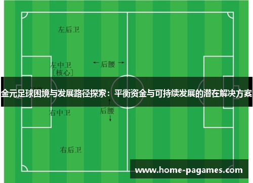 金元足球困境与发展路径探索：平衡资金与可持续发展的潜在解决方案