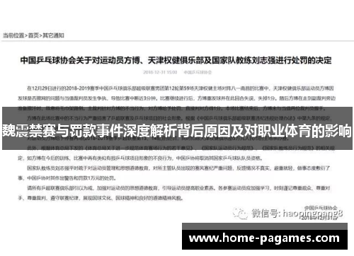 魏震禁赛与罚款事件深度解析背后原因及对职业体育的影响