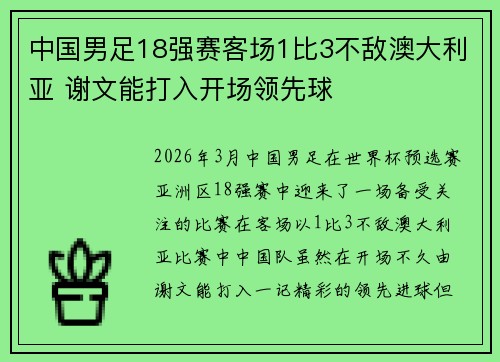 中国男足18强赛客场1比3不敌澳大利亚 谢文能打入开场领先球