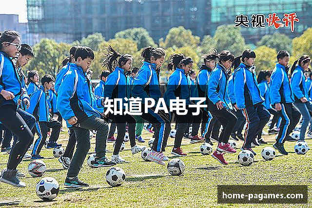 知道PA电子